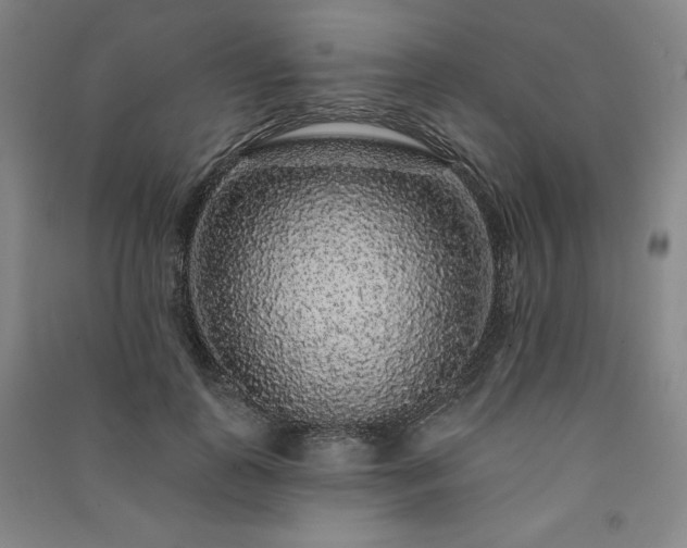 X0000091330747200708171350