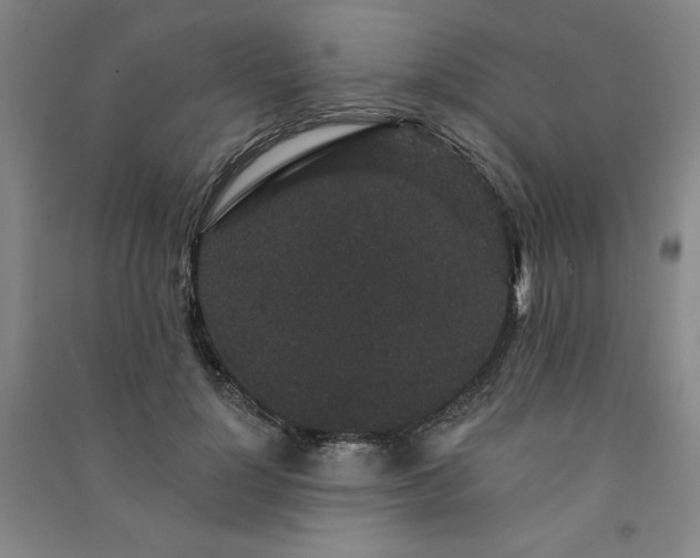 X0000091330748200708171350