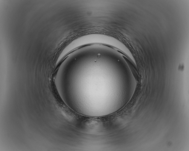 X0000091330750200708171350