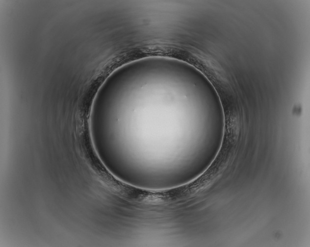 X0000091330751200708171350