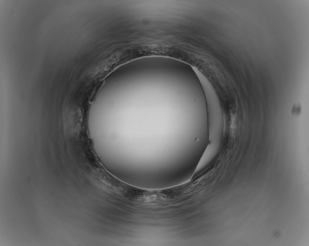 X0000091330752200708171350