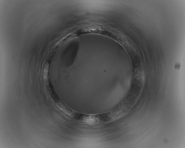 X0000091330754200708171351