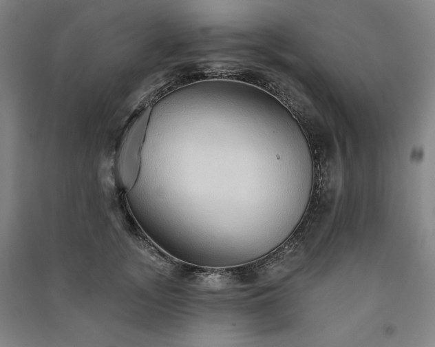 X0000091330755200708171351