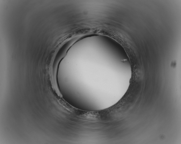 X0000091330756200708171351