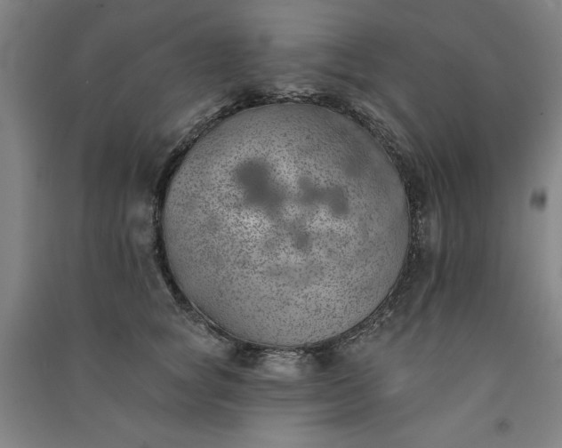 X0000091330757200708171351