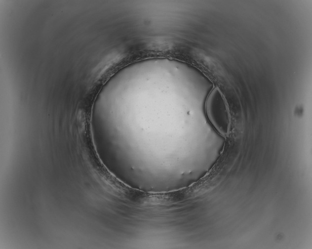 X0000091330758200708171351