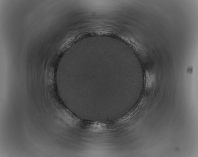 X0000091330760200708171351