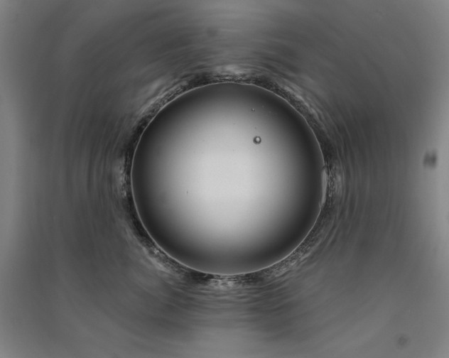 X0000091330764200708171351