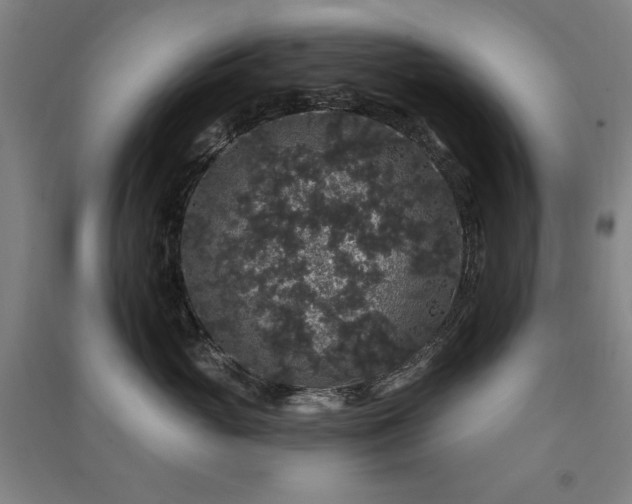 X0000091330765200708171351