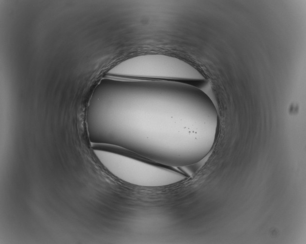 X0000091330768200708171351