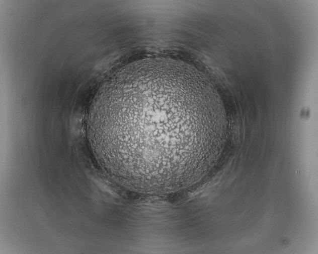 X0000091330770200708171350