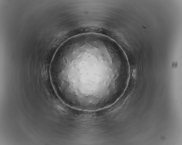 X0000091330771200708171350