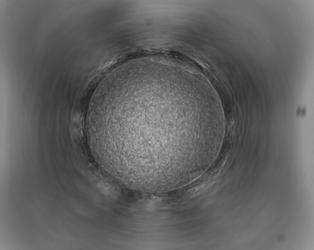 X0000091330772200708171350