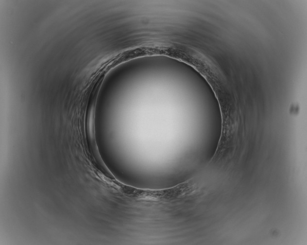 X0000091330773200708171350