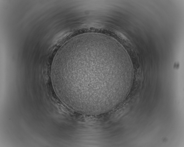 X0000091330774200708171350