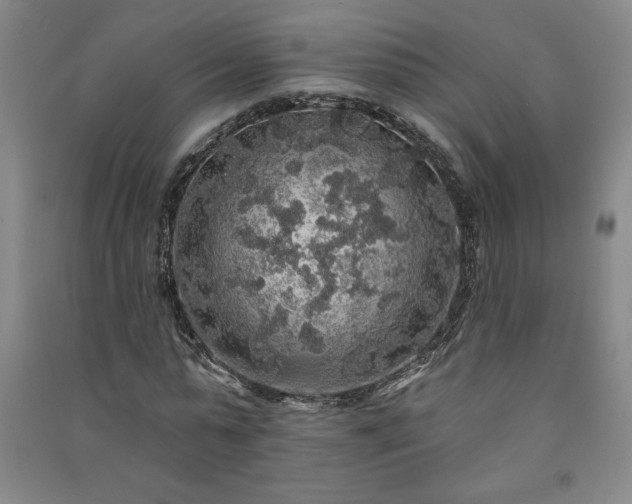 X0000091330775200708171350