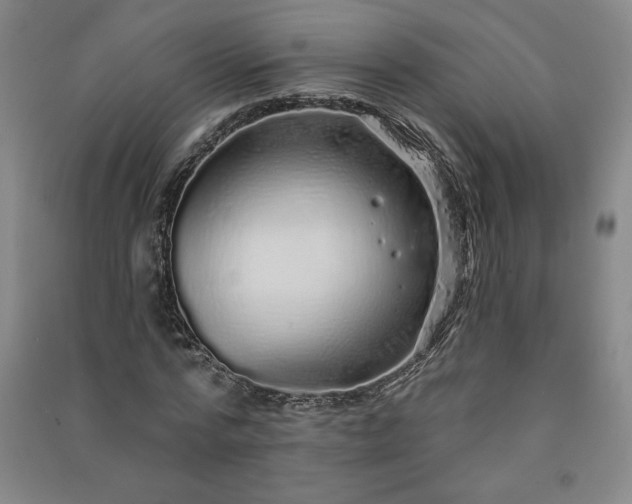 X0000091330776200708171350