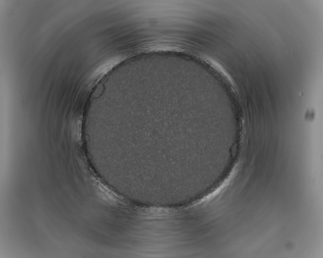 X0000091330777200708171350