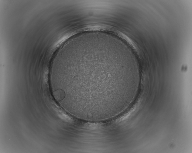 X0000091330778200708171350