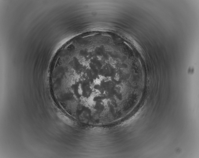 X0000091330779200708171350