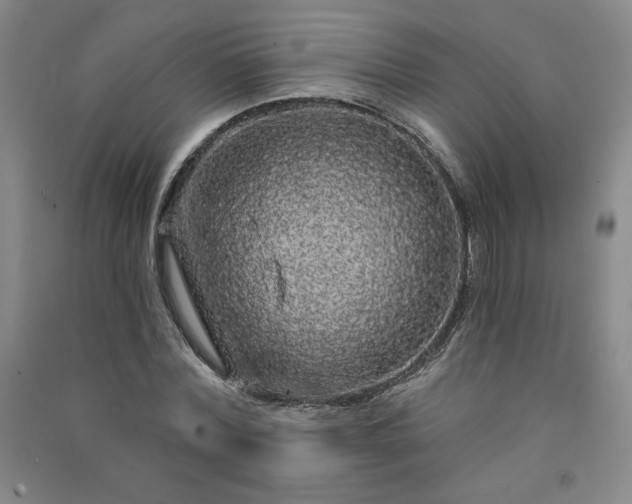 X0000091330780200708171350