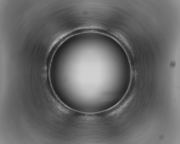 X0000091330781200708171350