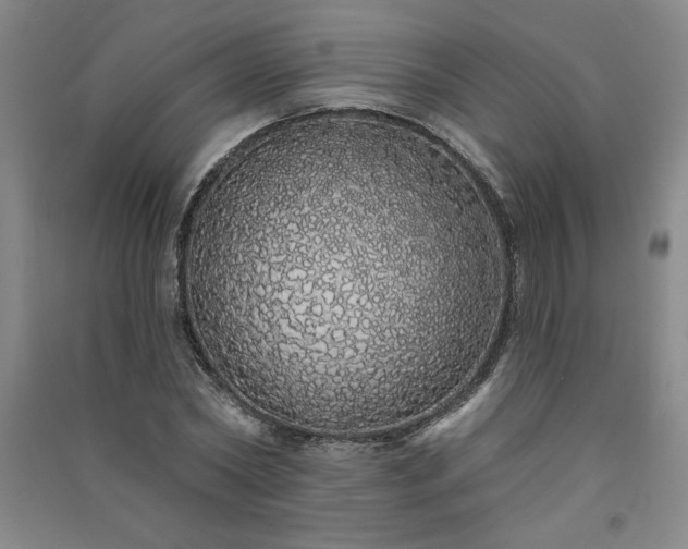 X0000091330782200708171350