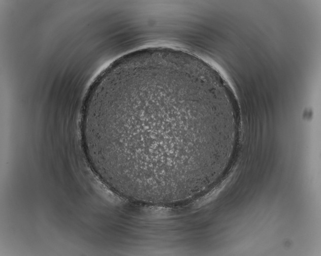 X0000091330783200708171350