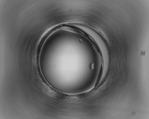 X0000091330784200708171350