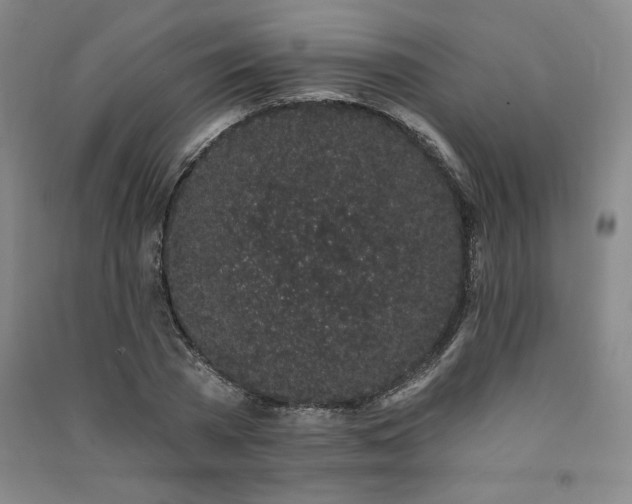 X0000091330785200708171350