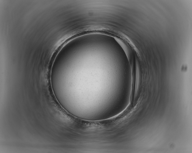 X0000091330786200708171350