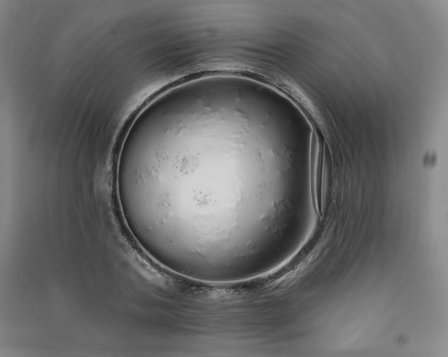 X0000091330787200708171350