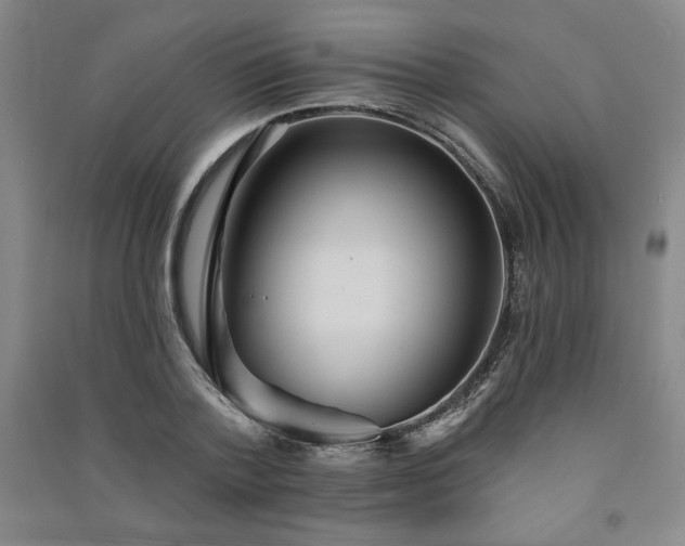 X0000091330788200708171350