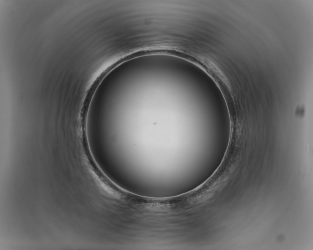 X0000091330789200708171350