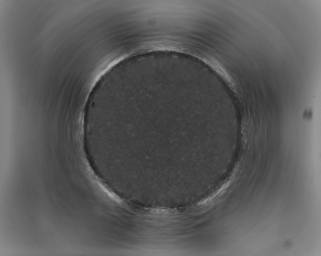 X0000091330790200708171350