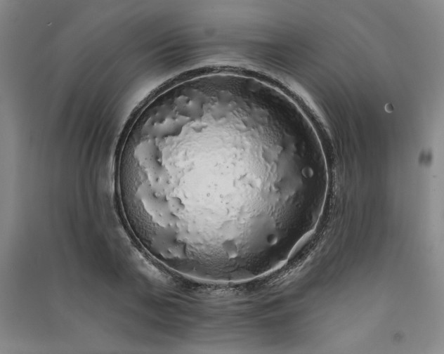 X0000091330791200708171350