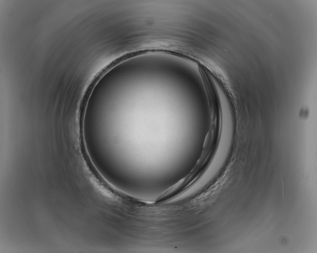 X0000091330792200708171350