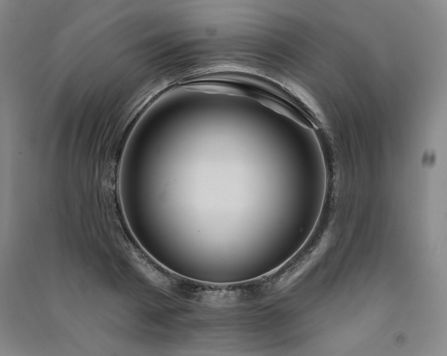 X0000091330793200708171350