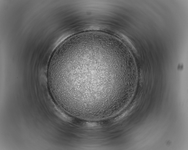 X0000091330794200708171350