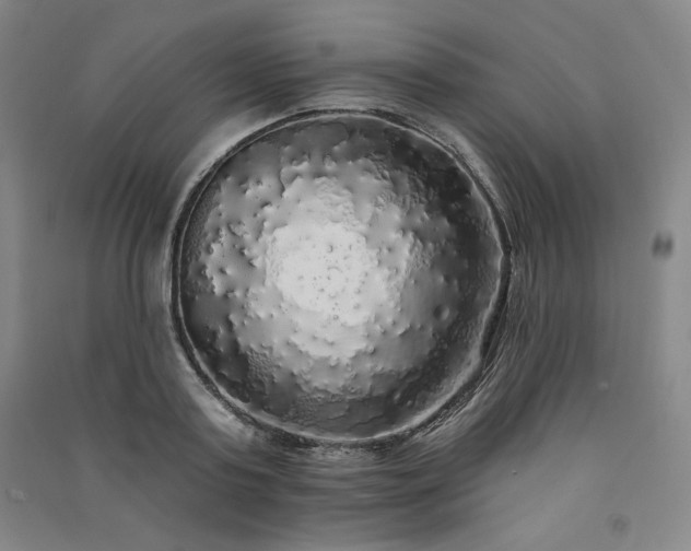 X0000091330795200708171350