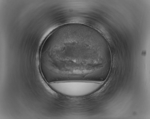 X0000091330796200708171350