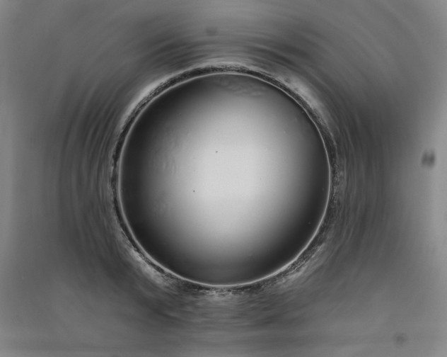 X0000091330799200708171350