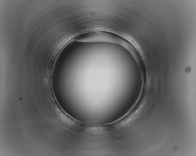 X0000091330801200708171350