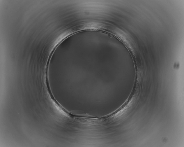 X0000091330802200708171350