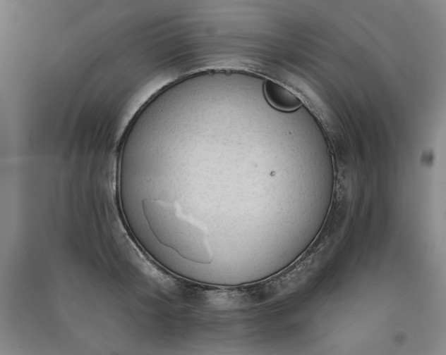 X0000091330804200708171349