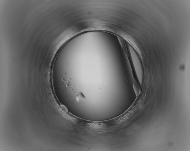 X0000091330805200708171349