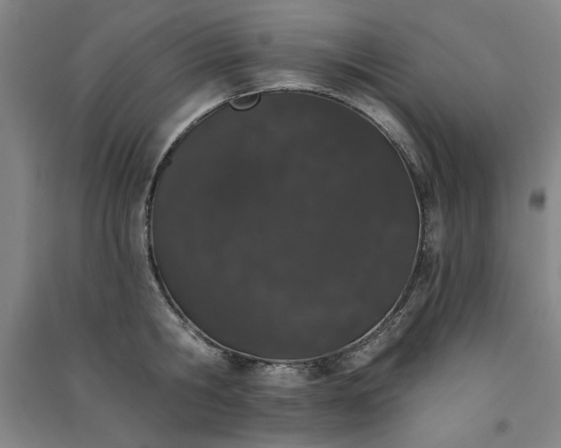 X0000091330806200708171349