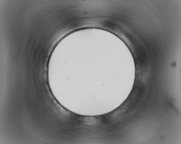 X0000091330807200708171349