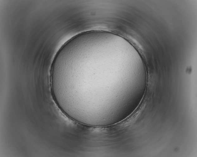 X0000091330808200708171349