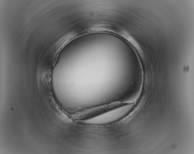 X0000091330809200708171349